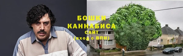 ГАЛЛЮЦИНОГЕННЫЕ ГРИБЫ Алексеевка