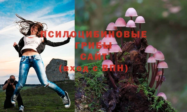 дмт Абдулино
