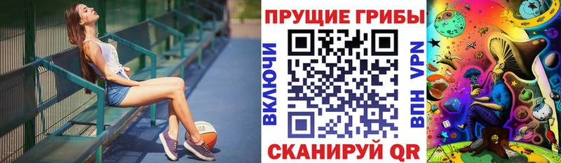 Галлюциногенные грибы Psilocybine cubensis  Волжский 